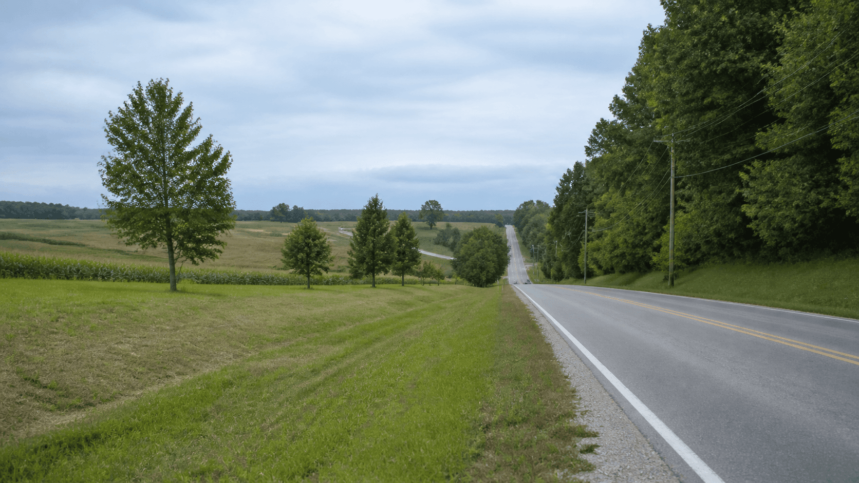 State Road 350 en Dearborn County, donde las autoridades investigaron una colisión frontal mortal y posteriormente se presentaron cargos.