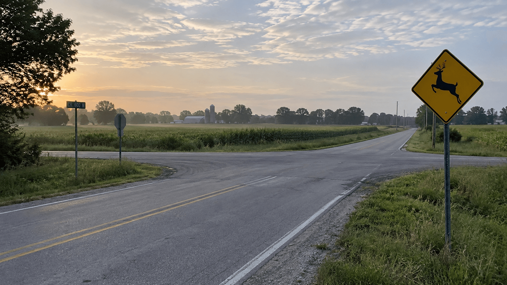 Rural county road intersection near Leesburg in Kosciusko County, illustrating the setting of a reported deer avoidance crash.