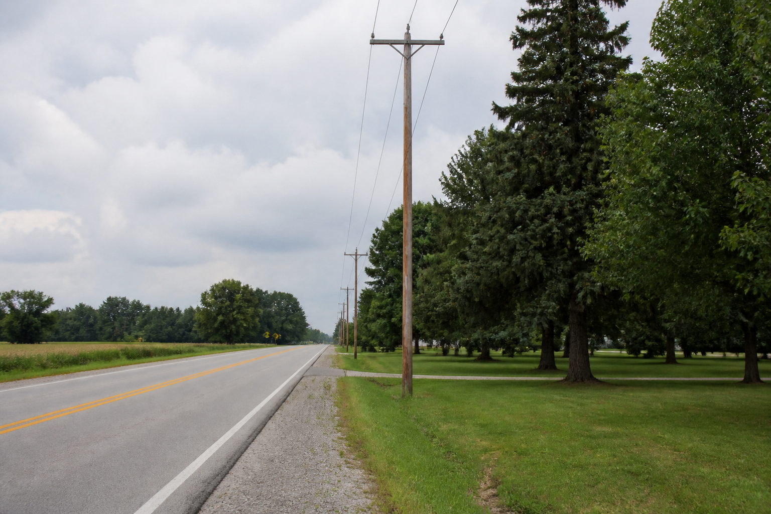A roadside utility pole along Speed Road in Milltown, relevant to the reported single-vehicle OWI crash.