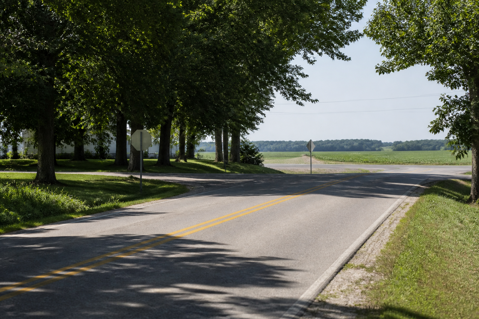 Rural roadway setting in Orange County relevant to the State Road 56 Amish buggy collision investigation.