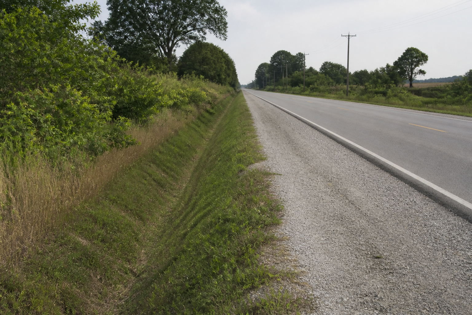 Roadside ditch and sight lines along a rural Washington County road, relevant to the Blue River Road motorcycle crash investigation.