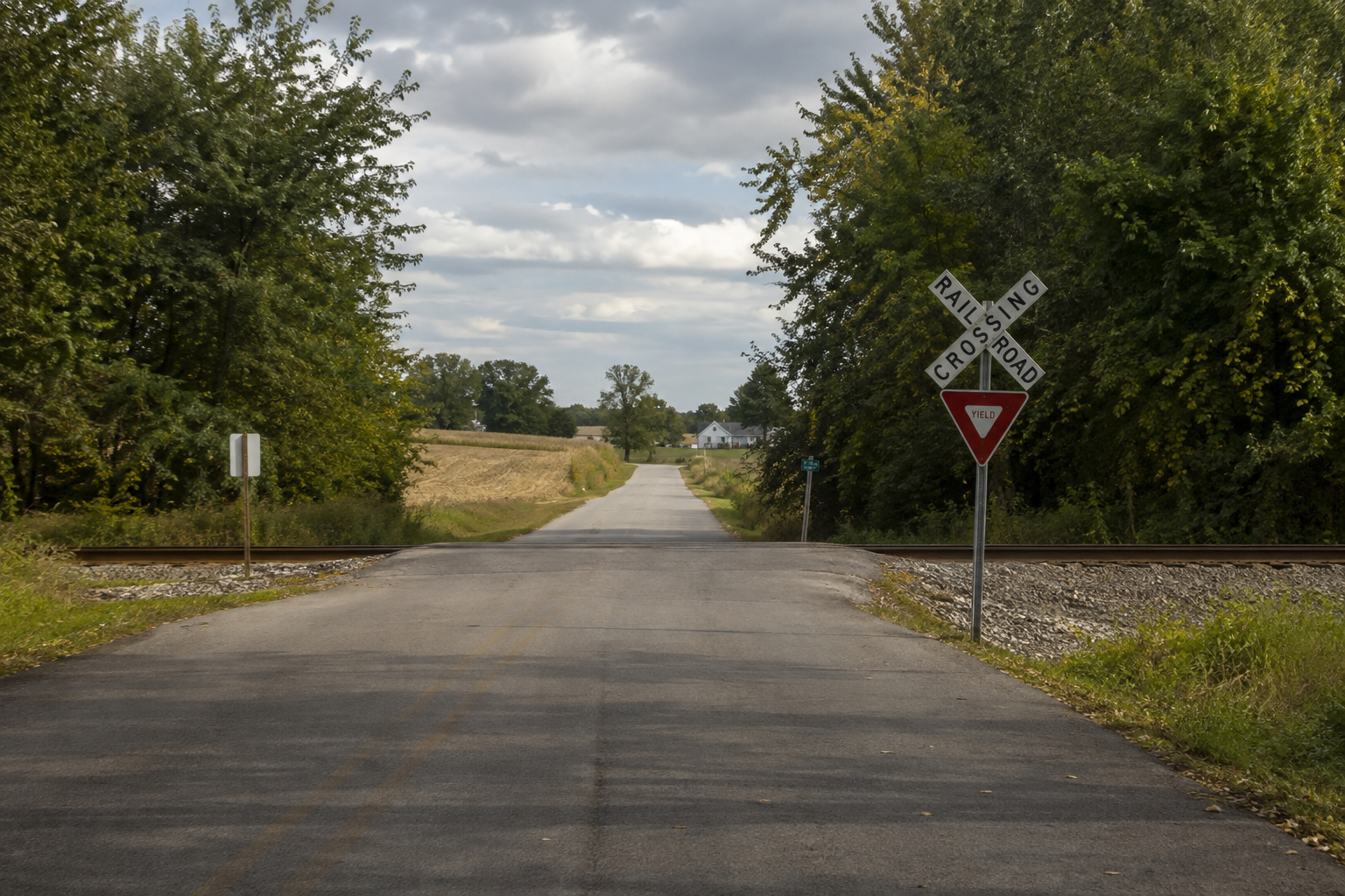 Tree-lined approach to an at-grade railroad crossing near Owensville, illustrating the sight-line issue recorded in the Gibson County report.