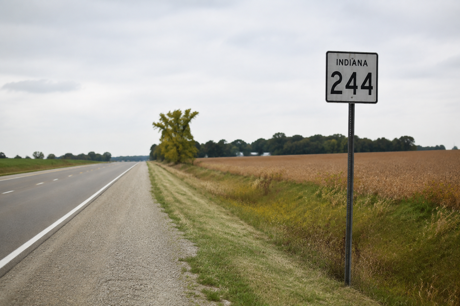 Roadside shoulder along rural U.S. 224 near the Indiana and Ohio state line, providing context for the Adams County rollover report.