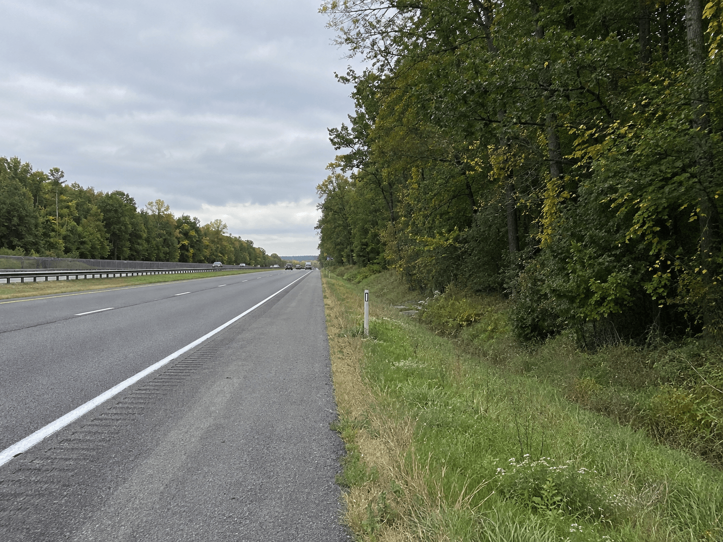 Wooded roadside along Interstate 69 in DeKalb County, illustrating the setting of a deer-avoidance crash.