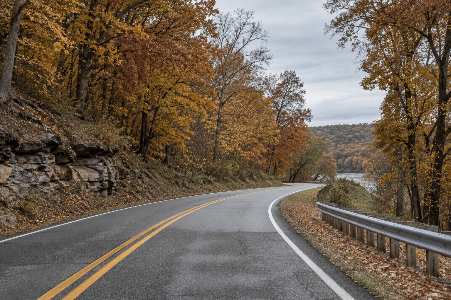Wooded roadway near Aurora, Indiana, illustrating the setting of the reported motorcycle and deer collision.