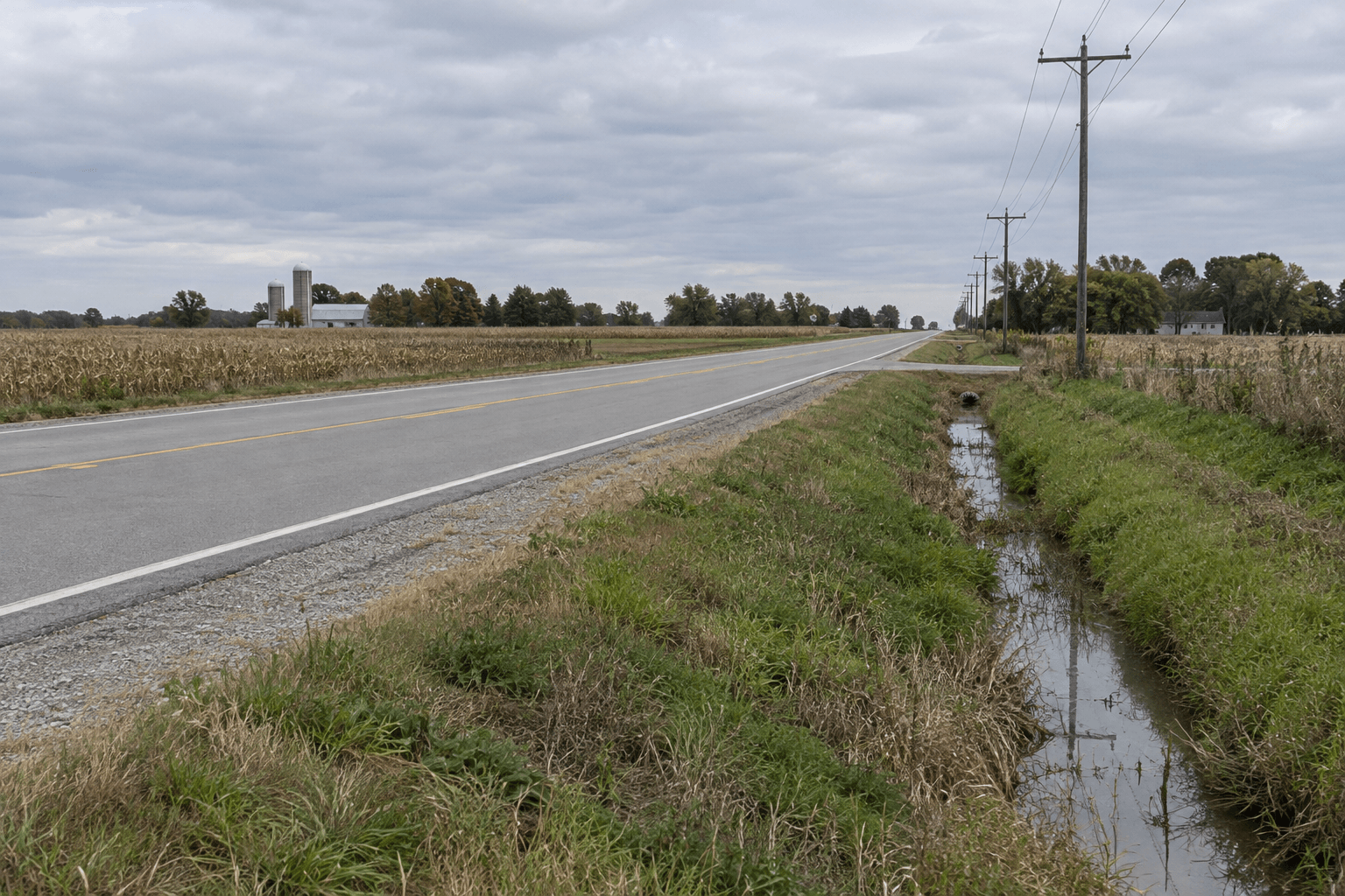 Utility poles and a roadside ditch along a rural Cass County highway, showing fixed roadside features relevant to the State Road 16 crash.