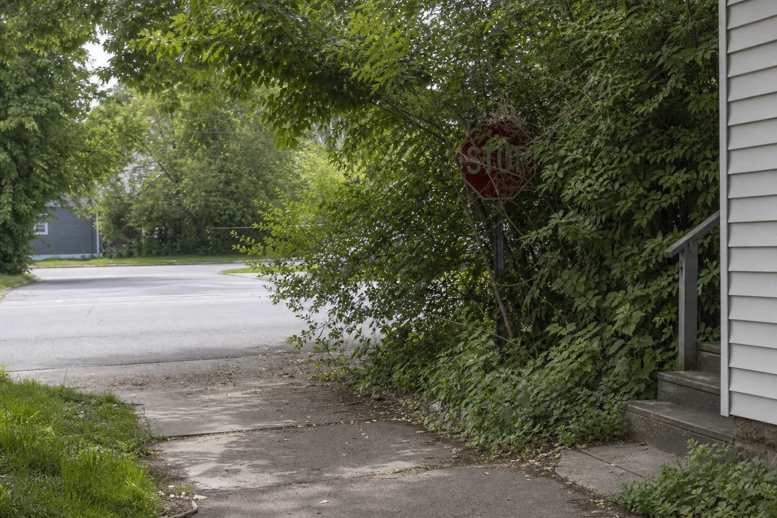 Fort Wayne failure-to-yield crash scene — sight line foliage