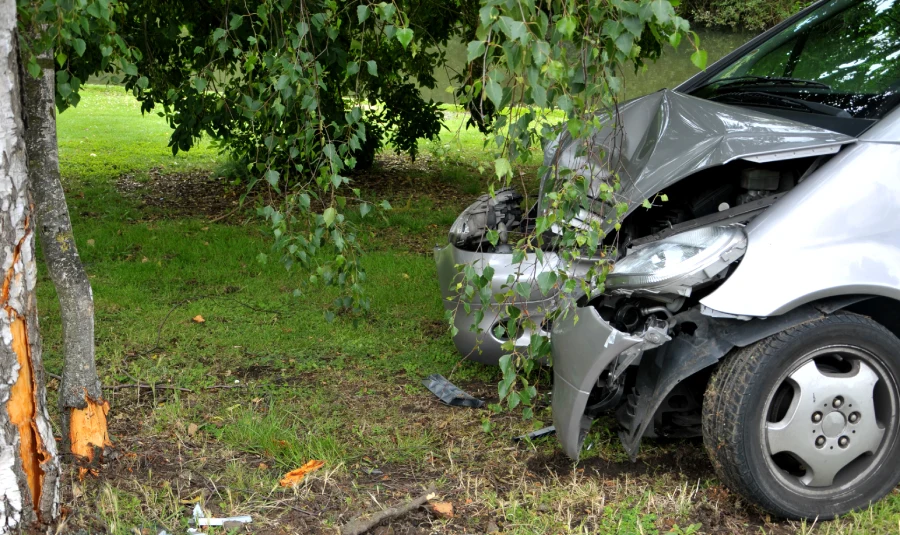 A car rests next to a tree after having hit it head-on.